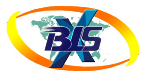 BLSX Limited Unlisted Share logo